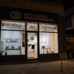 NOW SHOWING | Jan 12-25, 2025 | Second Exhibition displaying 20 new artworks at ArtSpeak Gallery in Windsor, Ontario. Reception on Thursday, Jan 16.