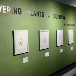 Jan 23-30, 2024 | First Exhibition at Sho Studios in Windsor, Ontario. 10 new artworks on display.